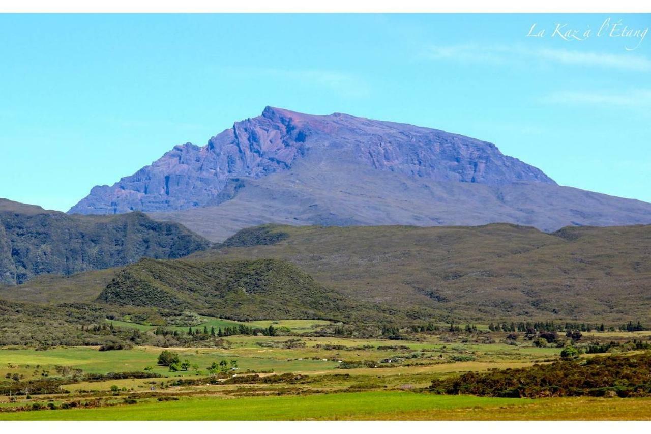 La Kaz A L'Etang - Votre Location De Vacances A L'Ile De La Reunion Saint-Louis Ngoại thất bức ảnh