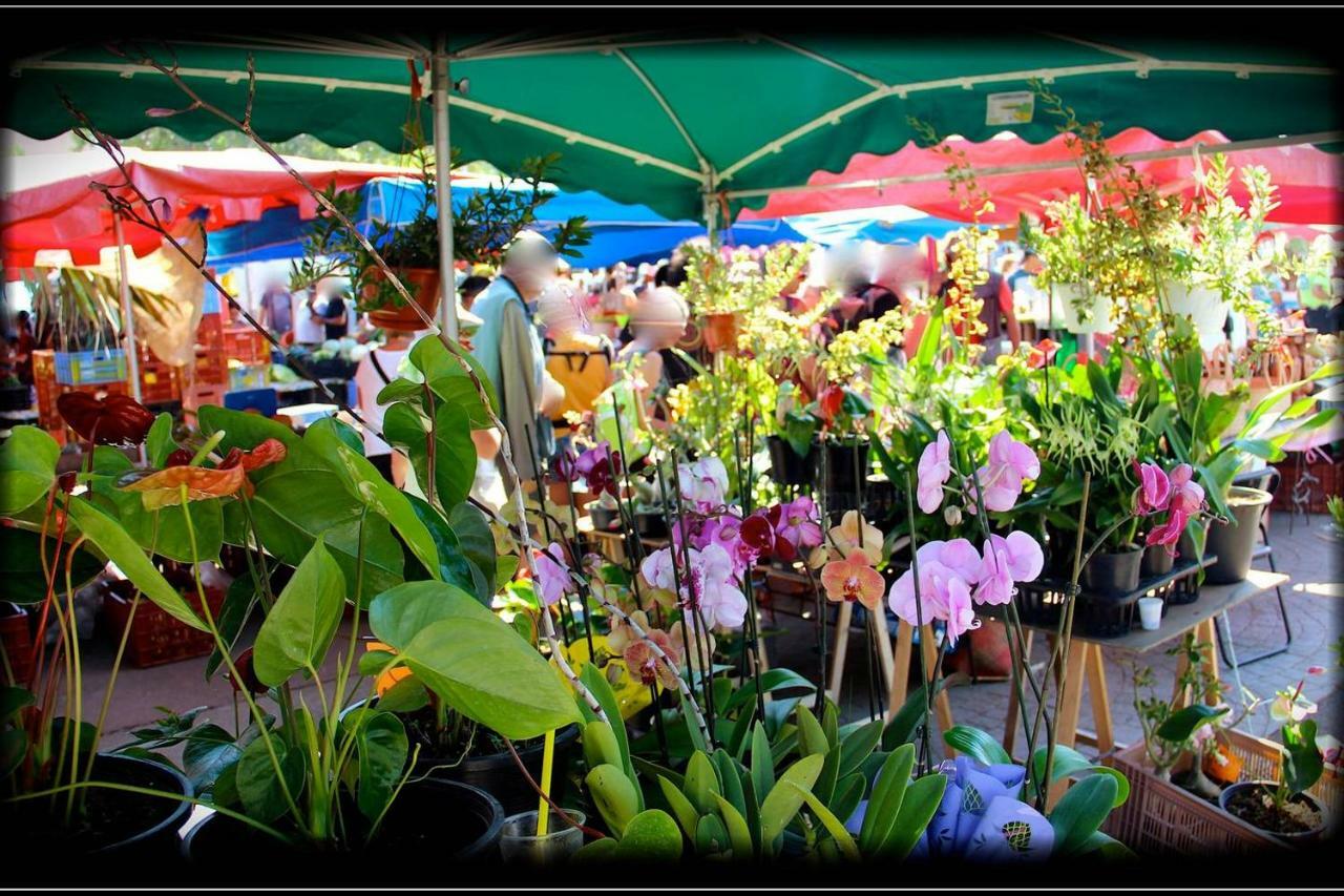 La Kaz A L'Etang - Votre Location De Vacances A L'Ile De La Reunion Saint-Louis Ngoại thất bức ảnh