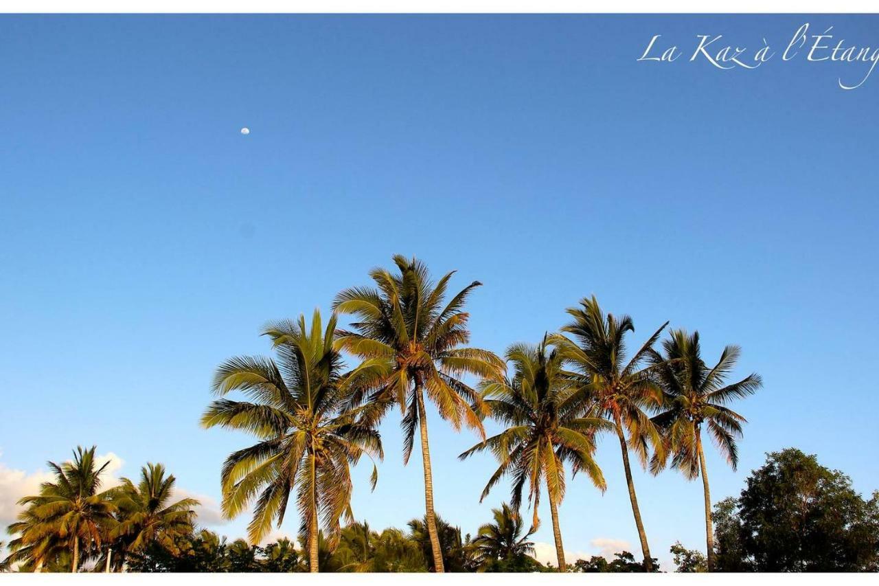 La Kaz A L'Etang - Votre Location De Vacances A L'Ile De La Reunion Saint-Louis Ngoại thất bức ảnh